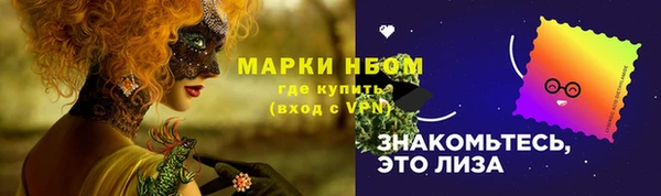 прущие грибы Баксан