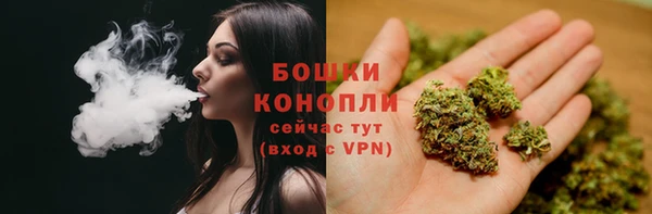 сатива Армянск