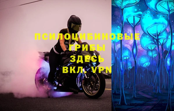 мдпв Арсеньев