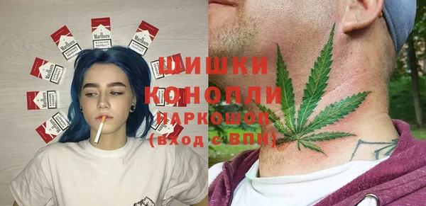 прущие грибы Баксан