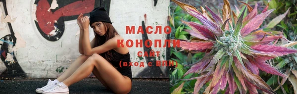 сатива Армянск