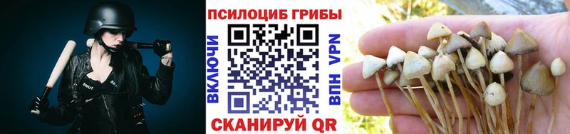 Псилоцибиновые грибы мицелий  Купить закладки  Скопин 